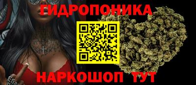 гашик Малгобек