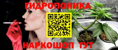 индика Малоярославец